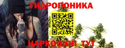 крисы Донской