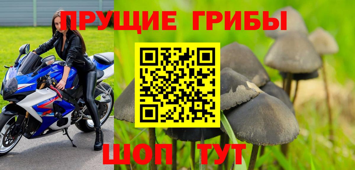 Медногорск  Галлюциногенные грибы мухоморы  Вход с VPN 