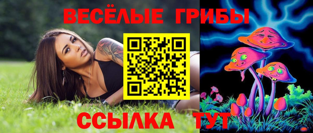 Галлюциногенные грибы Psilocybine cubensis Медногорск